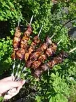Chicken Shish Kebab