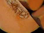Cantaloup
