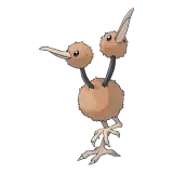Doduo