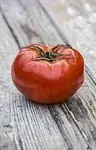 Tomate