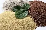 Couscous