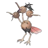 Dodrio