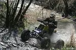 Banshee