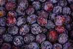 Violet prune