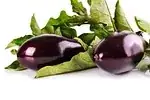 Violet aubergine