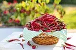 Piment de Cayenne