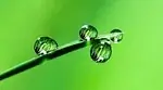 Vert d'eau