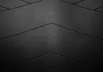 Altered Carbon