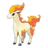 Ponyta
