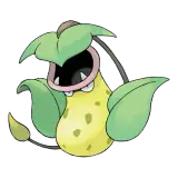 Empiflor