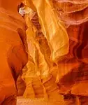 Ocre