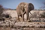 Namibie