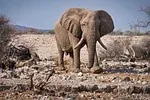 Namibie