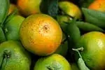 Mandarine