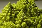 Chou Romanesco