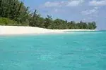 Timor oriental