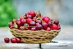 Cerise