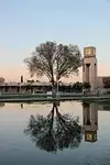 Community